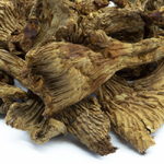 girolles-sechees-detail