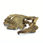 girolles-sechees-zoom