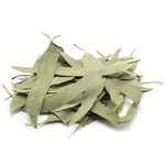 feuille-d-eucalyptus-entiere-eucalyptus-globulus-detail