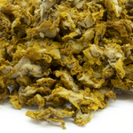 bouillon-blanc-molene-en-fleurs-entieres-verbascum-thapsiforme-detail