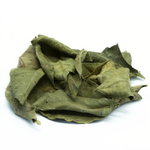 feuilles-d-oranger-bigaradier-sechees-detail