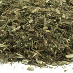 epilobe-partie-aerienne-epilobium-parviflorum-detail