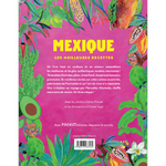 mexique-les-meilleures-recettes-4e-de-couverture