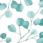 eucalyptus-motif-eigenart