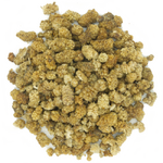 mures-blanches-sechees