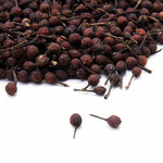 poivre-sauvage-voatsiperifery-madagascar-rouge-comptoir-des-poivres-detail