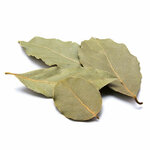 feuilles-de-laurier-detail