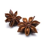 anis-etoile-badiane-detail
