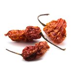 piment-bhut-jolokia-entier-detail
