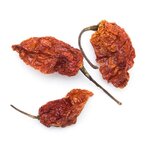 piment-bhut-jolokia-entier