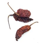 piment-bhut-jolokia-fume-entier