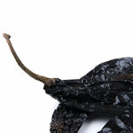 piment-pasilla-entier-detail2