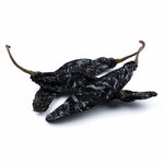 piment-pasilla-entier-detail