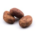 feves-de-cacao-crues-detail2