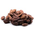 feves-de-cacao-crues-detail