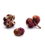 poivre-de-sichuan-detail2