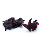 fleurs-hibiscus-calices-seches-zoom1