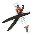 gousses-vanille-vanilla-tahitensis-tahiti-14-15-cm