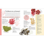 manger-sain-pour-etre-belle-et-en-bonne-sante-page