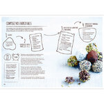 cassez-la-noix-recette-composez-vos-energy-balls