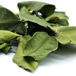 feuilles-de-citron-kaffir-detail