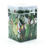 tropicaux