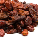 piment-pequin-detail