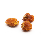 physalis-cerise-de-terre-seche-de-madagascar-zoom