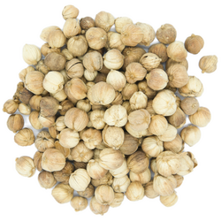 Cardamome blanche
