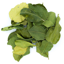 Feuilles de citron Kaffir (Combava)