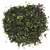 melange-3-algues-dulse-laitue-de-mer-nori