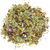 infusion-de-plantes-instant-paisible