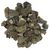 champignons-morillons-seches-entiers