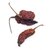 piment-bhut-jolokia-fume-entier