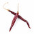 piment-de-arbol-sec-entier