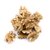 cerneaux-de-noix-entiers-decortiques-natures