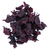fleurs-hibiscus-calices-seches