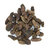 cardamome-noire-terre-exotique
