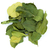 feuilles-de-citron-kaffir