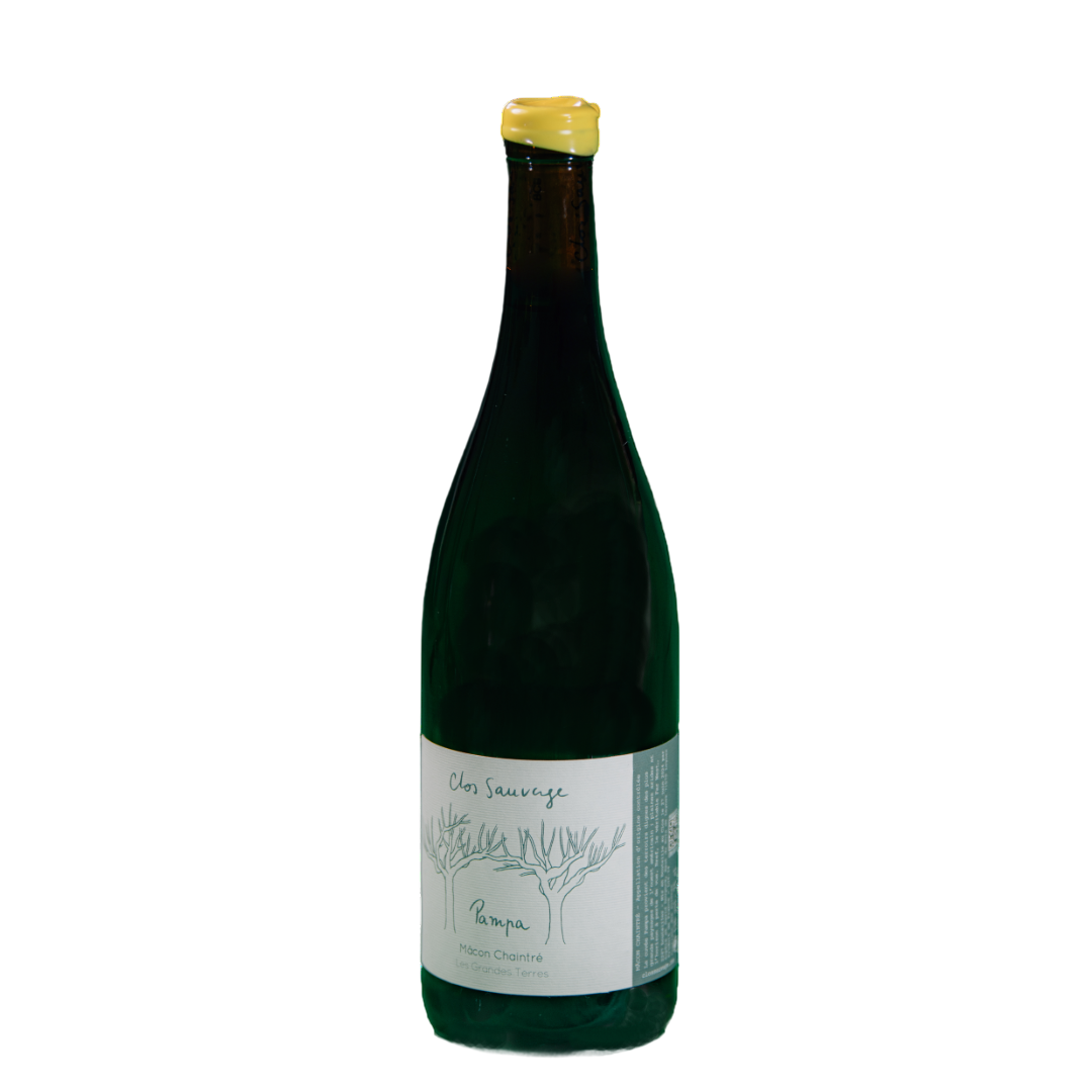 Pampa-blanc-carre (2)
