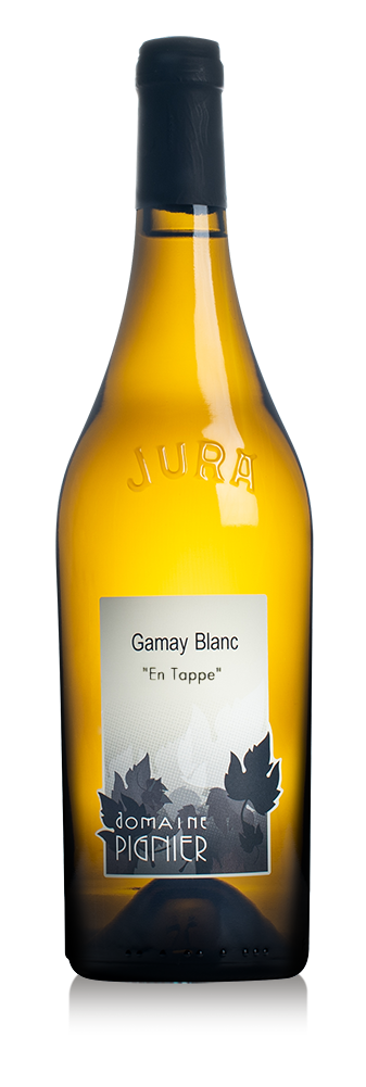 Pignier_gamay_blanc-2-1