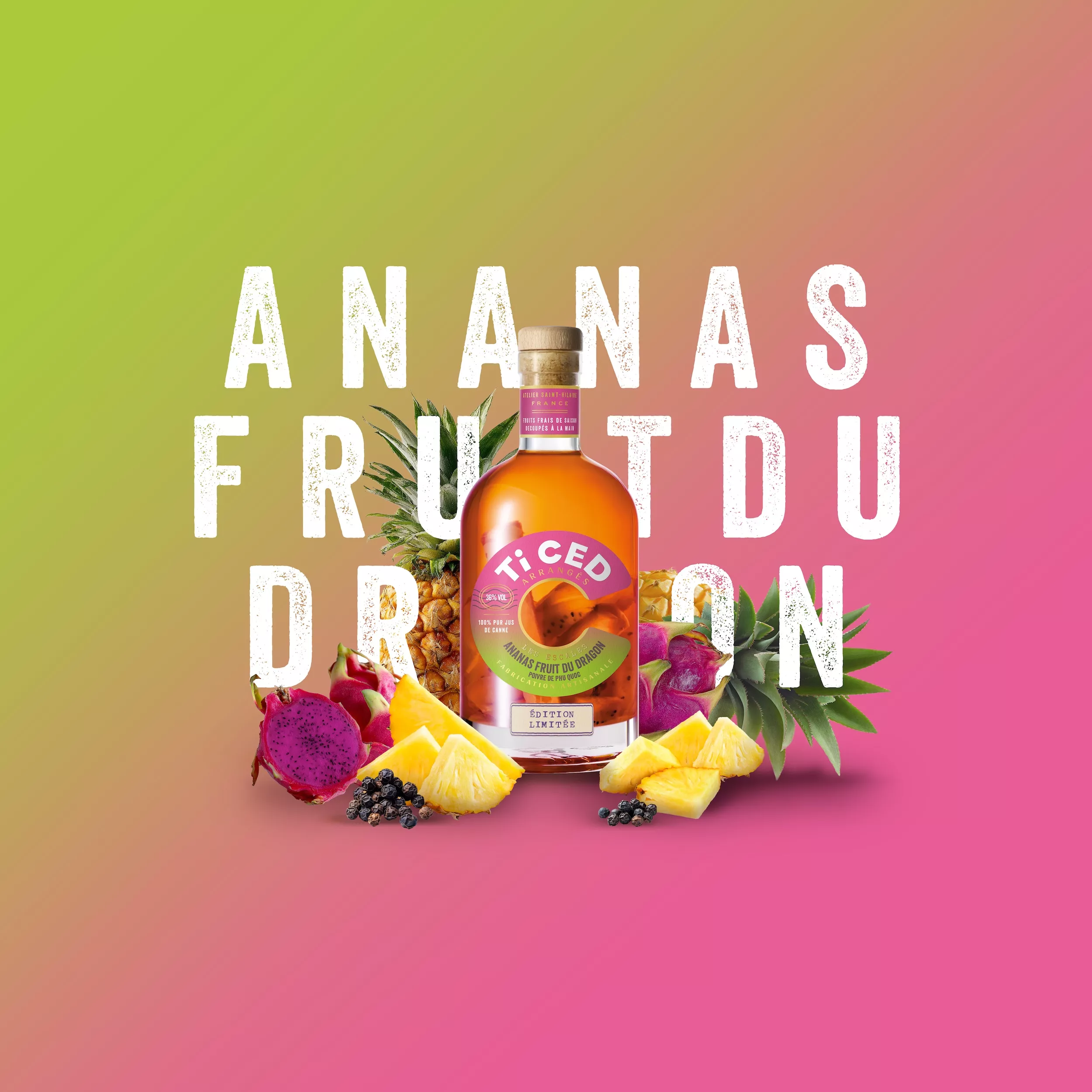 Ananas Fruit Dragon