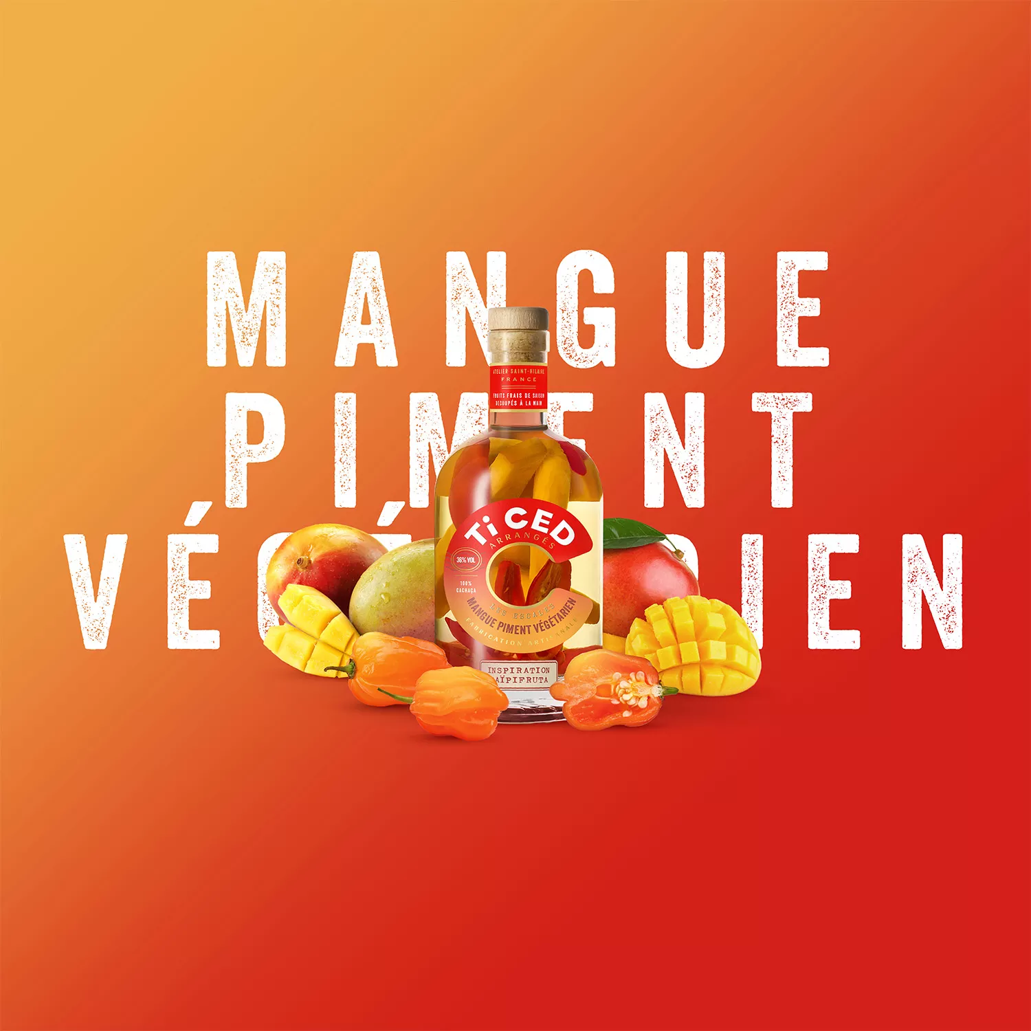 ticed-escales-mangue-piment-vegetarien-1500px