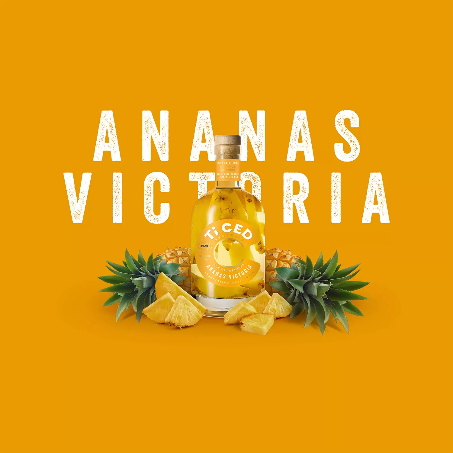 ticed-classique-ananas-victoria-1500px