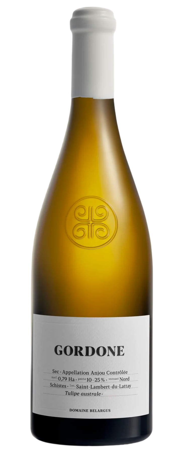Belargus_GORDONE_V2