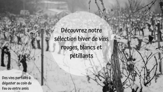 sélection hiver bannière