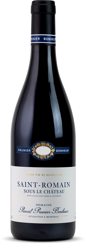 Prunier-bonheur_St-Romain-Sous-le-chateau_rouge