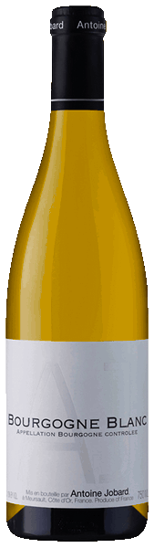 bourgogne jobard