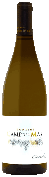 cantaluz