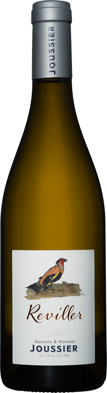 Domaine-Eveche-Blanc-reviller-1